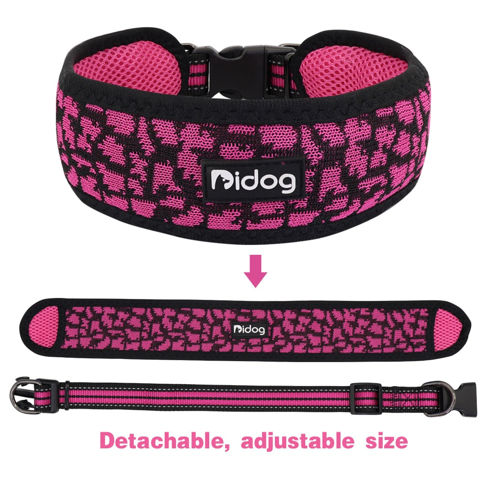 Nylon Mesh Dog Collar With Rope lead(For M/L/XL dogs)