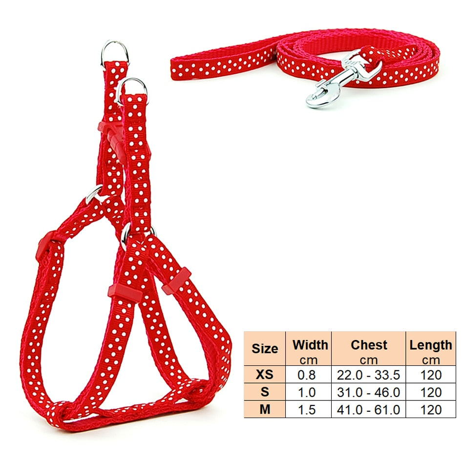 Small Dog Harness & Lead Adjustable