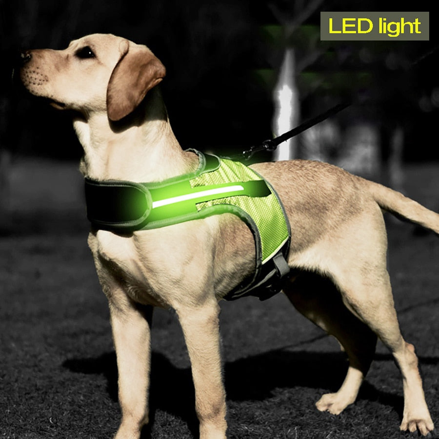 LED Luminous Dog Harness Light Up Dog Chest Strap Pet Safety Reflective