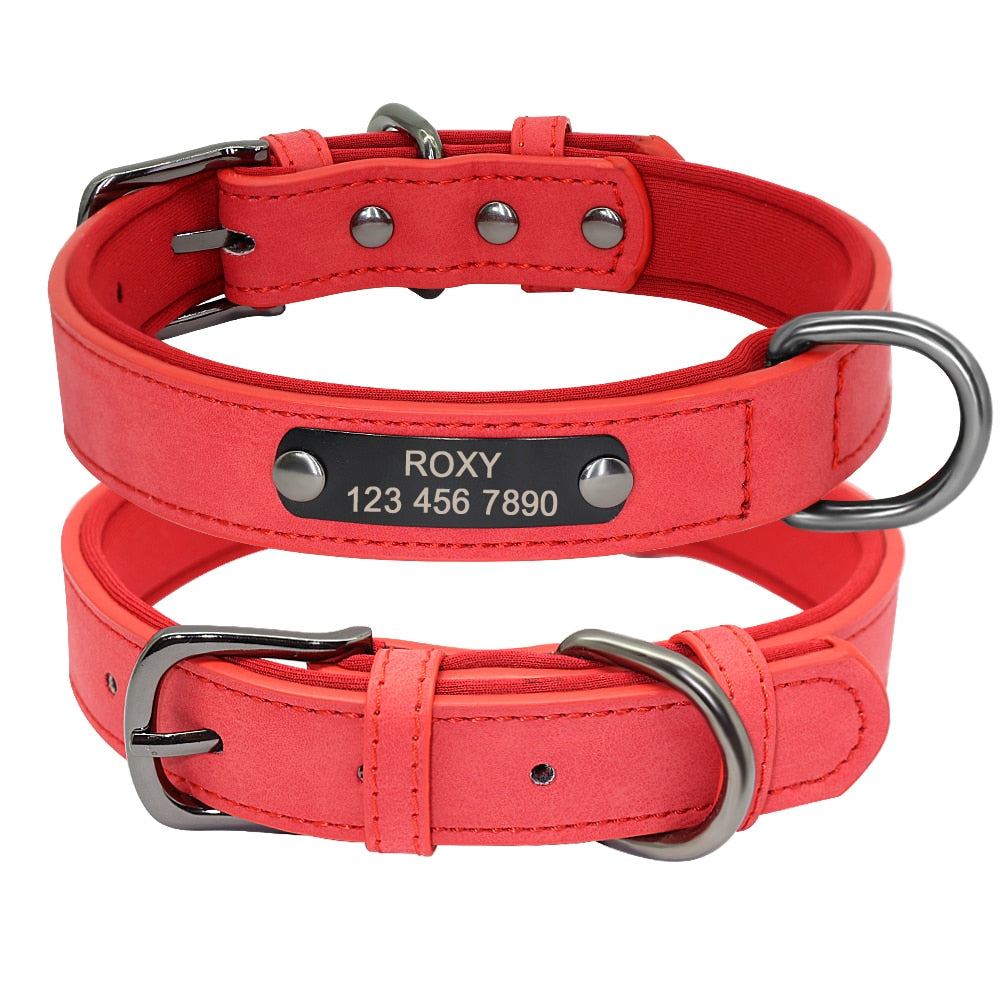 Small Dogs Leather Collar Engraved Puppy Pet ID Tag
