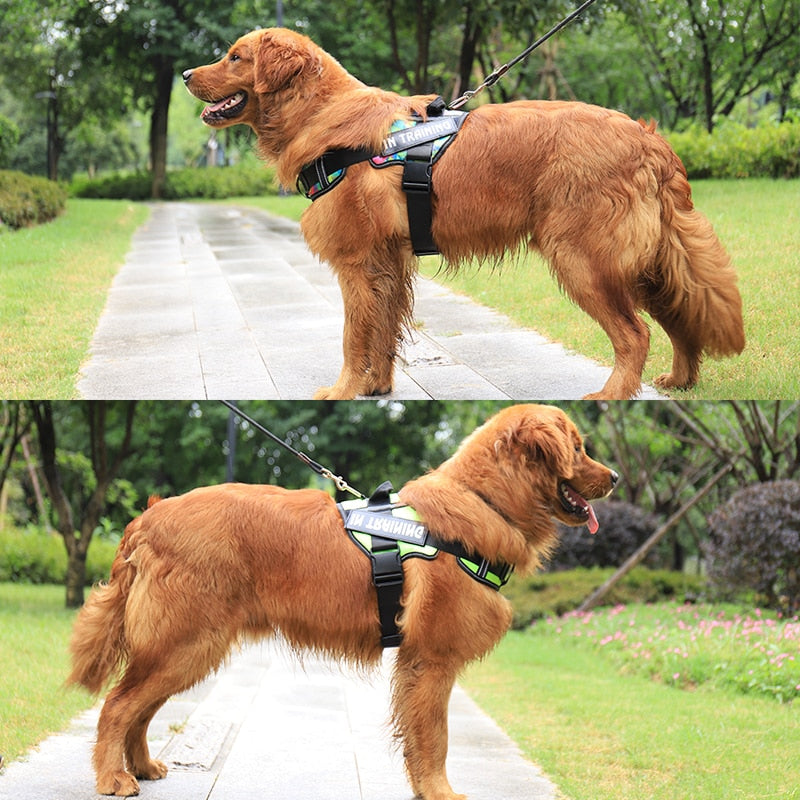 Personalised And Reflective Adjustable Dog Harness(Sizes: S-XL)