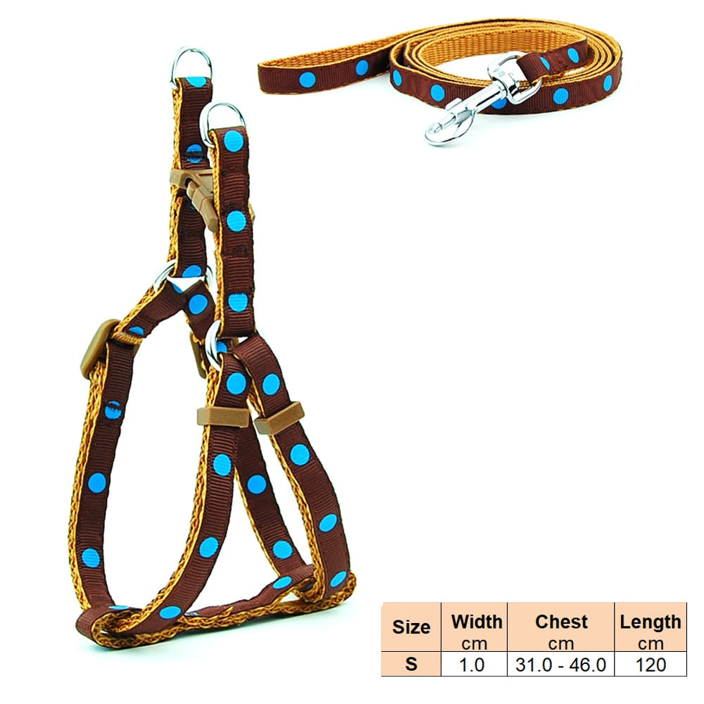 Dog Harness and Lead Adjustable Collar
