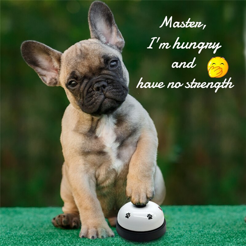 Training Interactive Toy Small Bell For Fur Babies to ask for food!