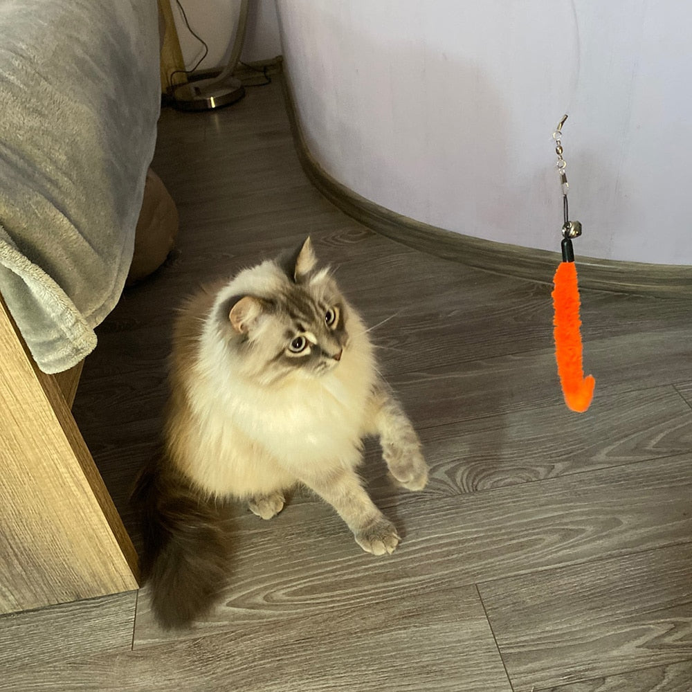 Interactive Toy Feather Teaser with Stick and Retractable Feather/Bell