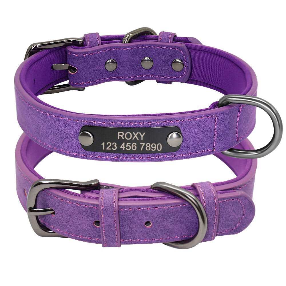 Small Dogs Leather Collar Engraved Puppy Pet ID Tag