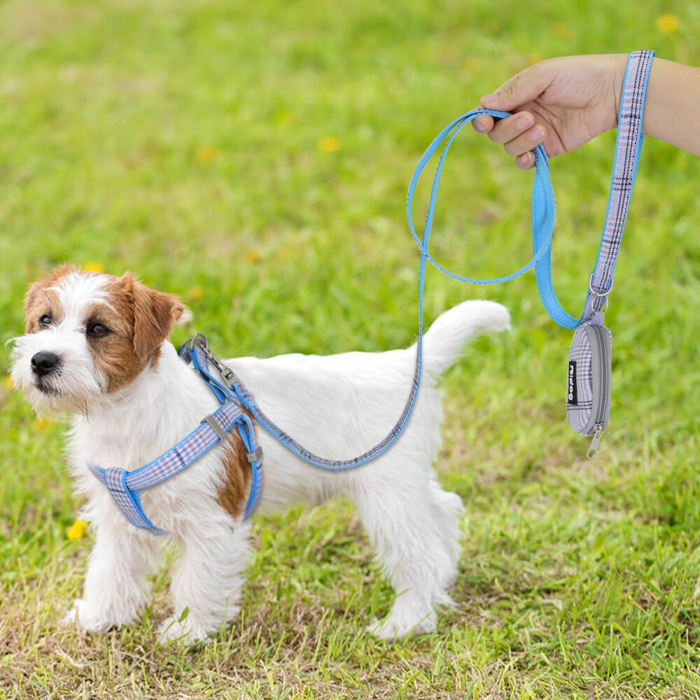 Cute Harness Adjustable Nylon for Dogs & Pups