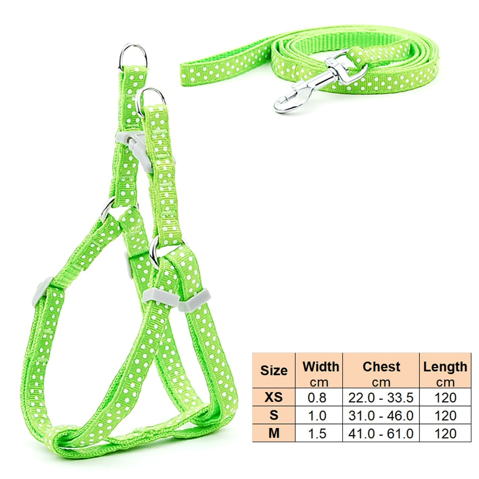 Small Dog Harness & Lead Adjustable