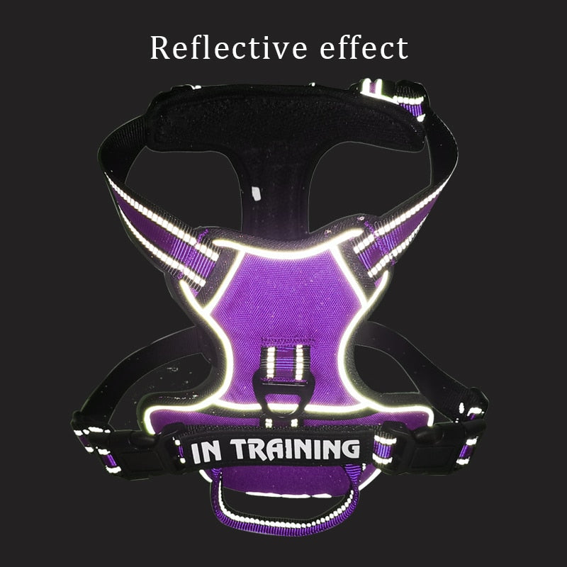 Nylon Adjustable Dog Harness Personalized Reflective Breathable