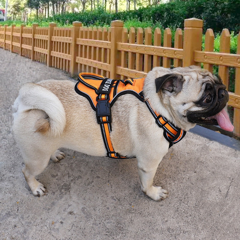 Nylon Adjustable Dog Harness Personalized Reflective Breathable