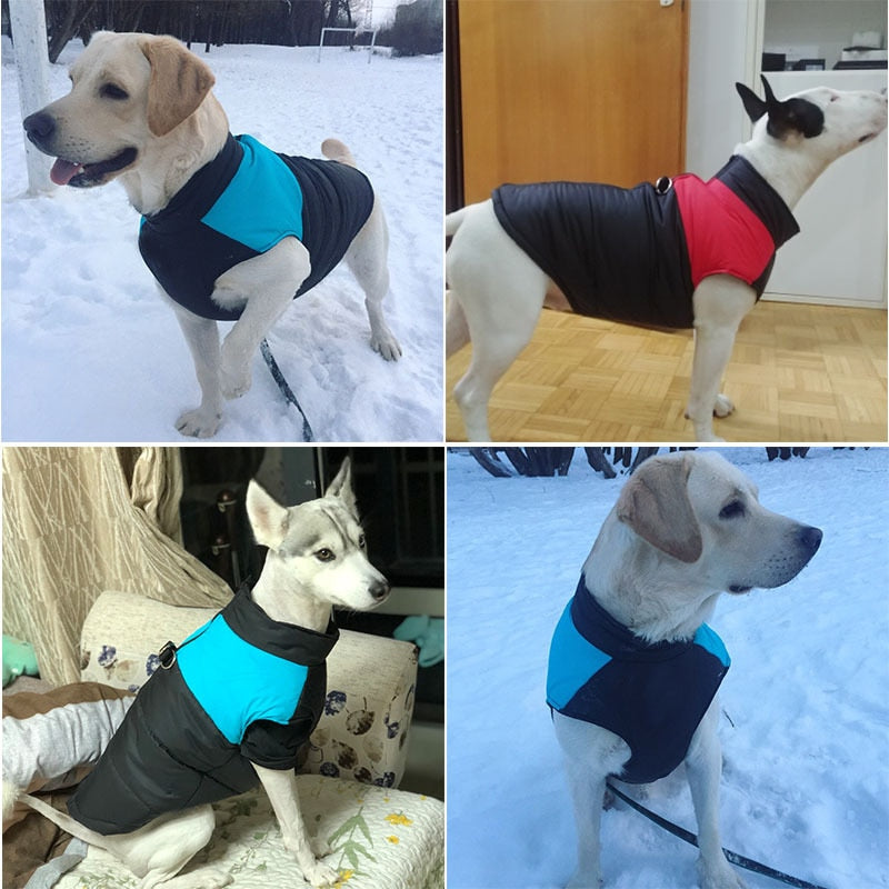 Waterproof Dog & Puppy Vest Jacket Winter Warm Padded Vest with Zipper