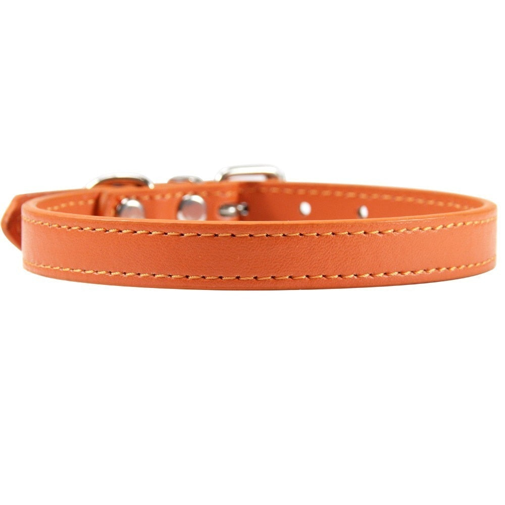 Colorful Leather Cat Collar Name Personalized