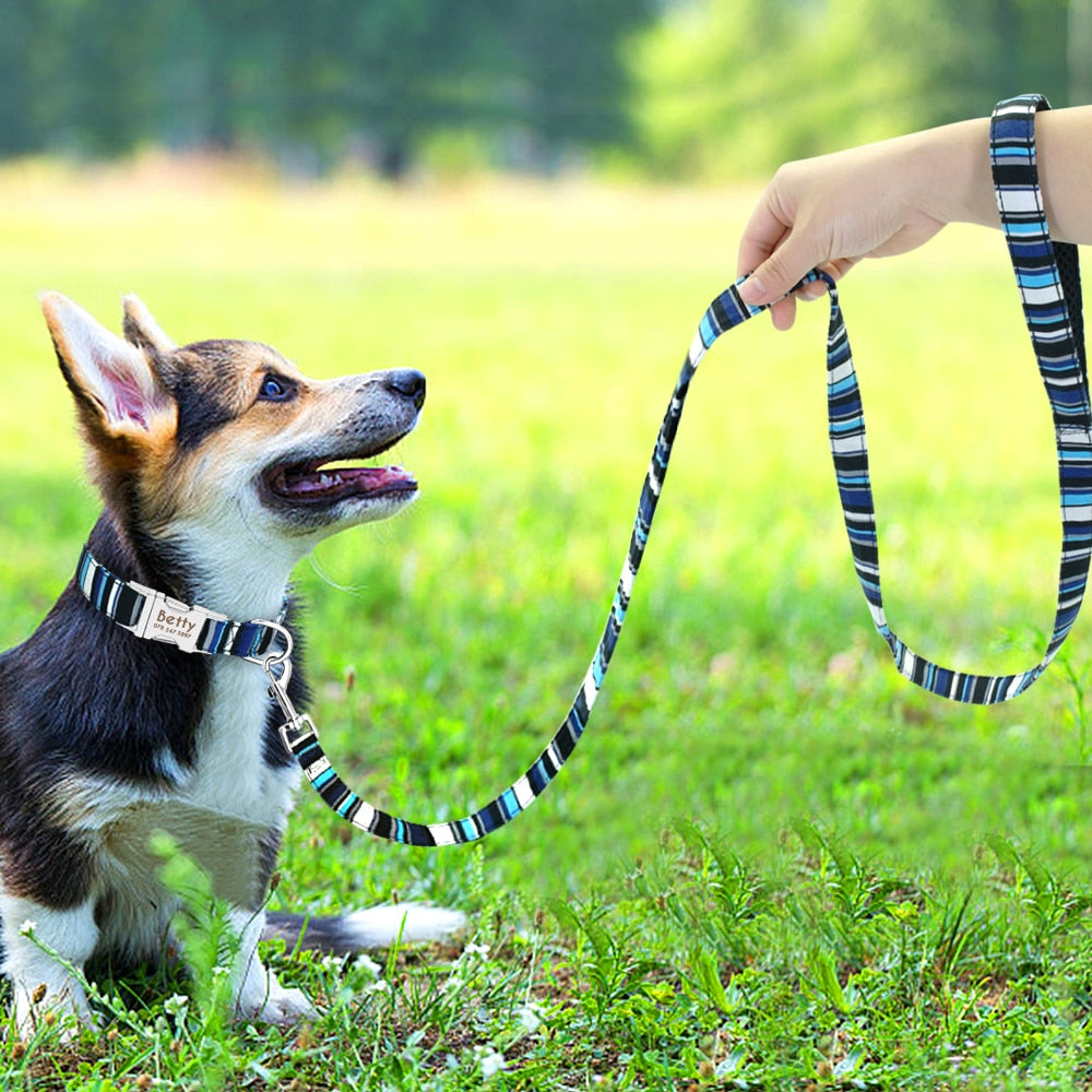 Nylon Padded Dog Lead