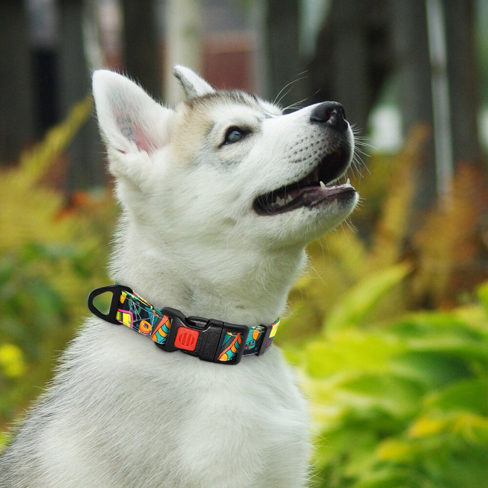 Fashion Nylon Dog Collar with Safety Buckle Soft Printed Collar Adjustable