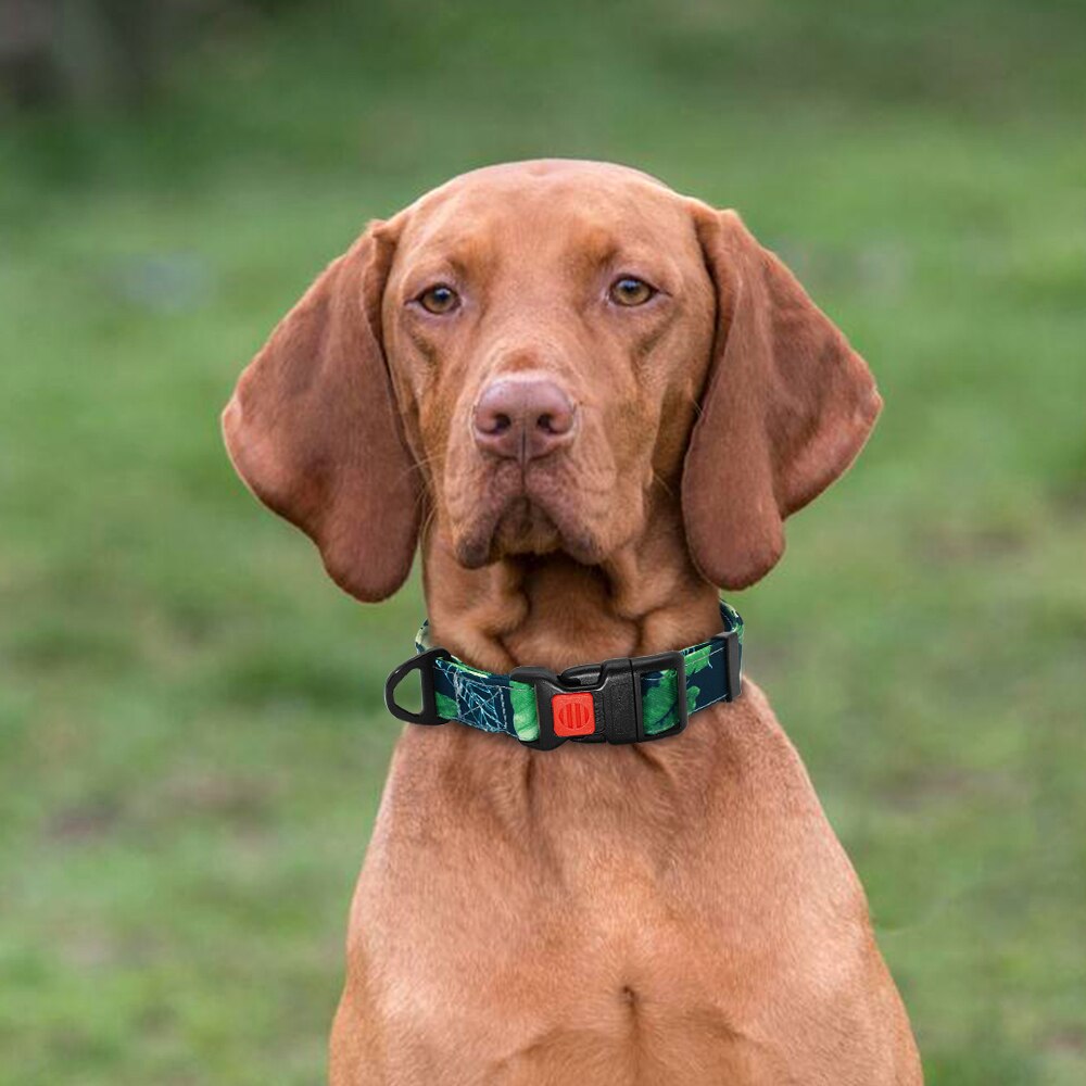 Fashion Nylon Dog Collar with Safety Buckle Soft Printed Collar Adjustable