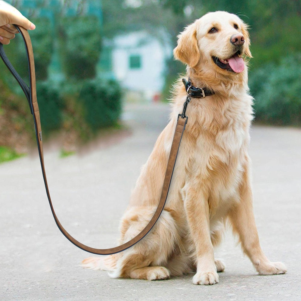 Dog Leather Lead in a Variety of Colours and sizes