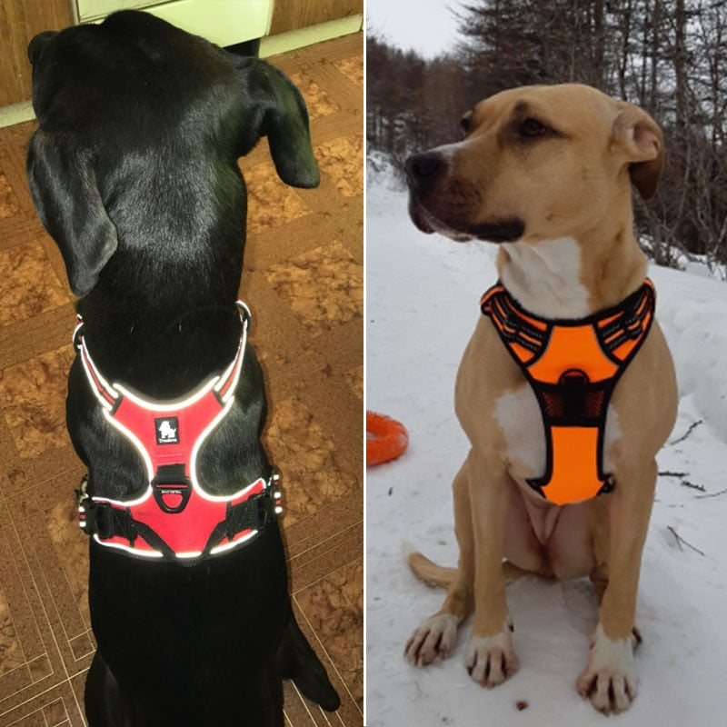 Truelove Dog Harness Durable Reflective Safety Lift Seat Belt Clip for Dog Travel