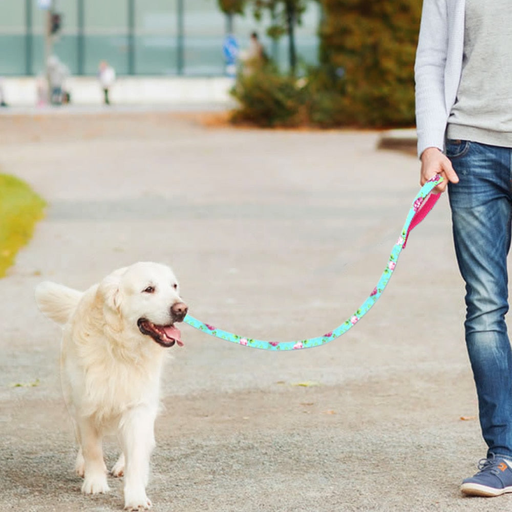 Nylon Padded Dog Lead