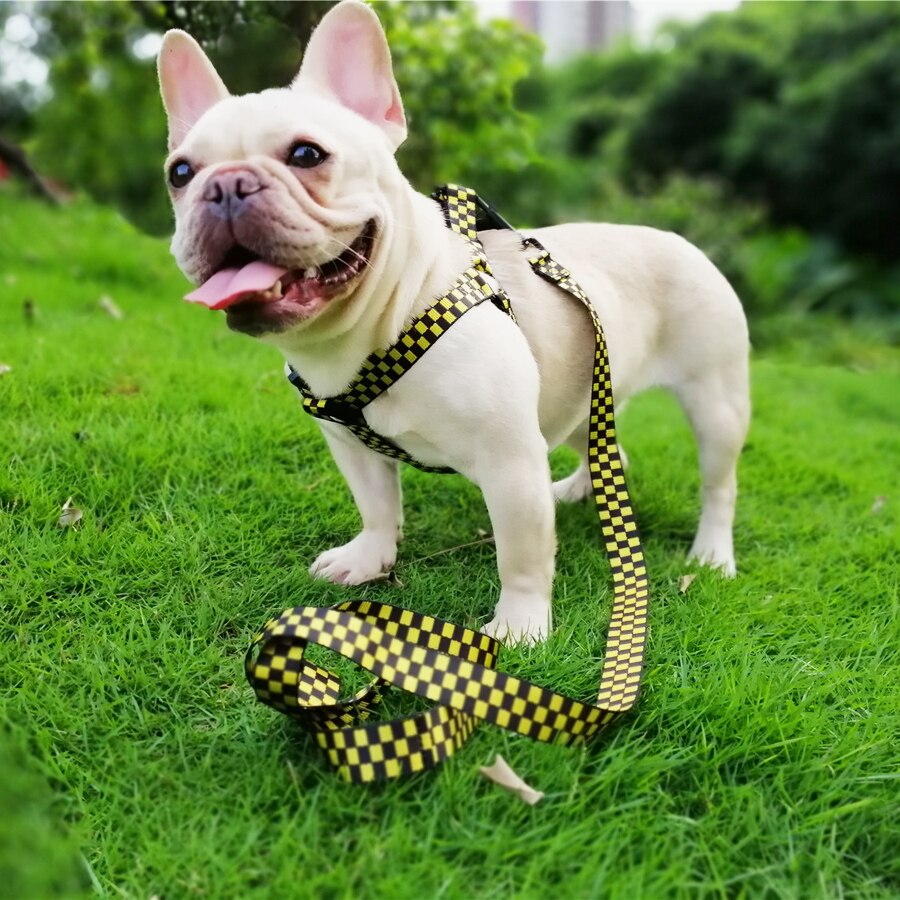 No Pull Dog Harness Adjustable Basic Nylon Step in Puppy & Dog Vest