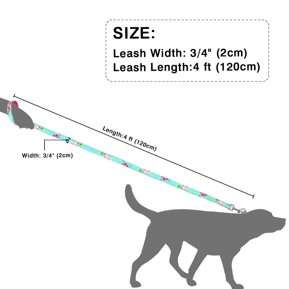 Nylon Padded Dog Lead