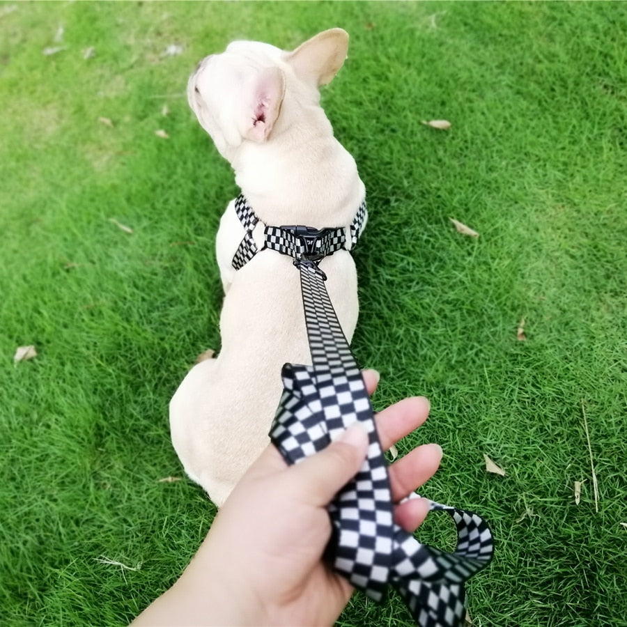 No Pull Dog Harness Adjustable Basic Nylon Step in Puppy & Dog Vest