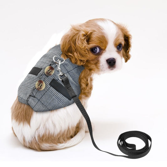 Stylish Waistcoat Harness for Small Dogs, Cats and Other Small Pets