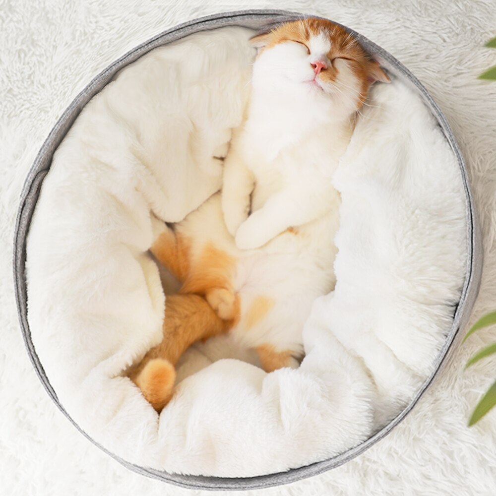 Hoopet Mr Meow Designer Cat Bed Soft High Quality Comfortable Winter House