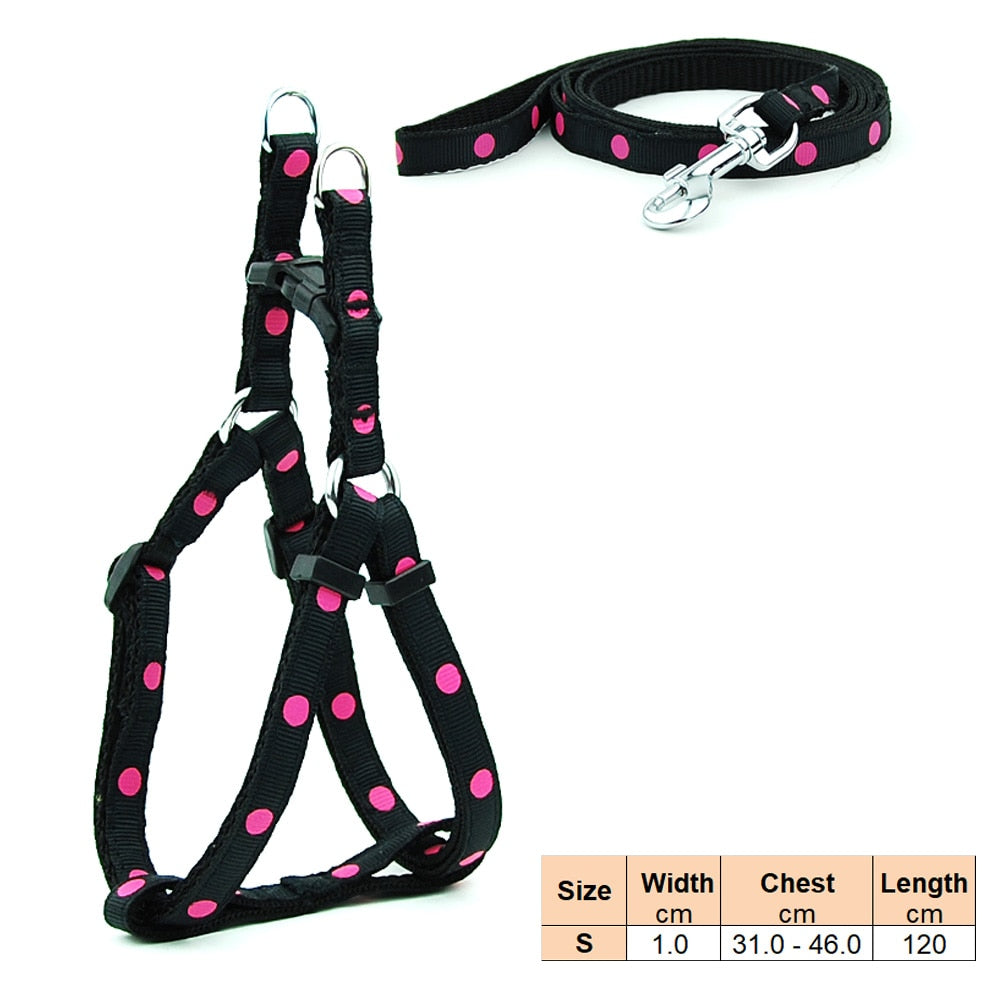 Dog Harness and Lead Adjustable Collar