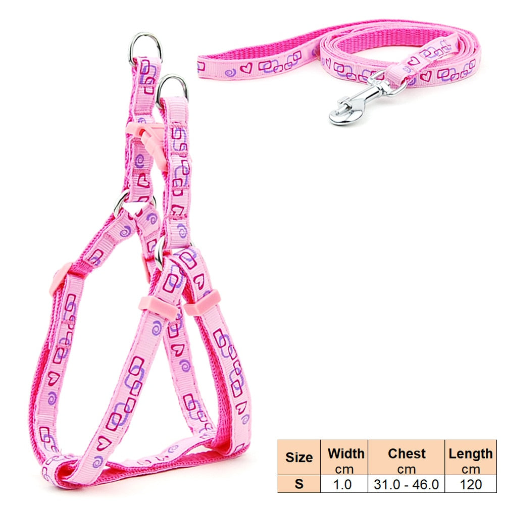 Dog Harness and Lead Adjustable Collar