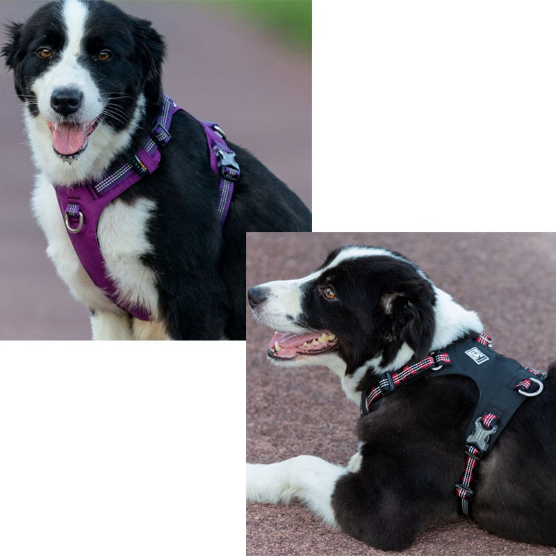 Truelove Waterproof Dog Harness Lightweight Breathable Reflective Pet Harness For Dog Small Large Safety Outdoor Training Vest