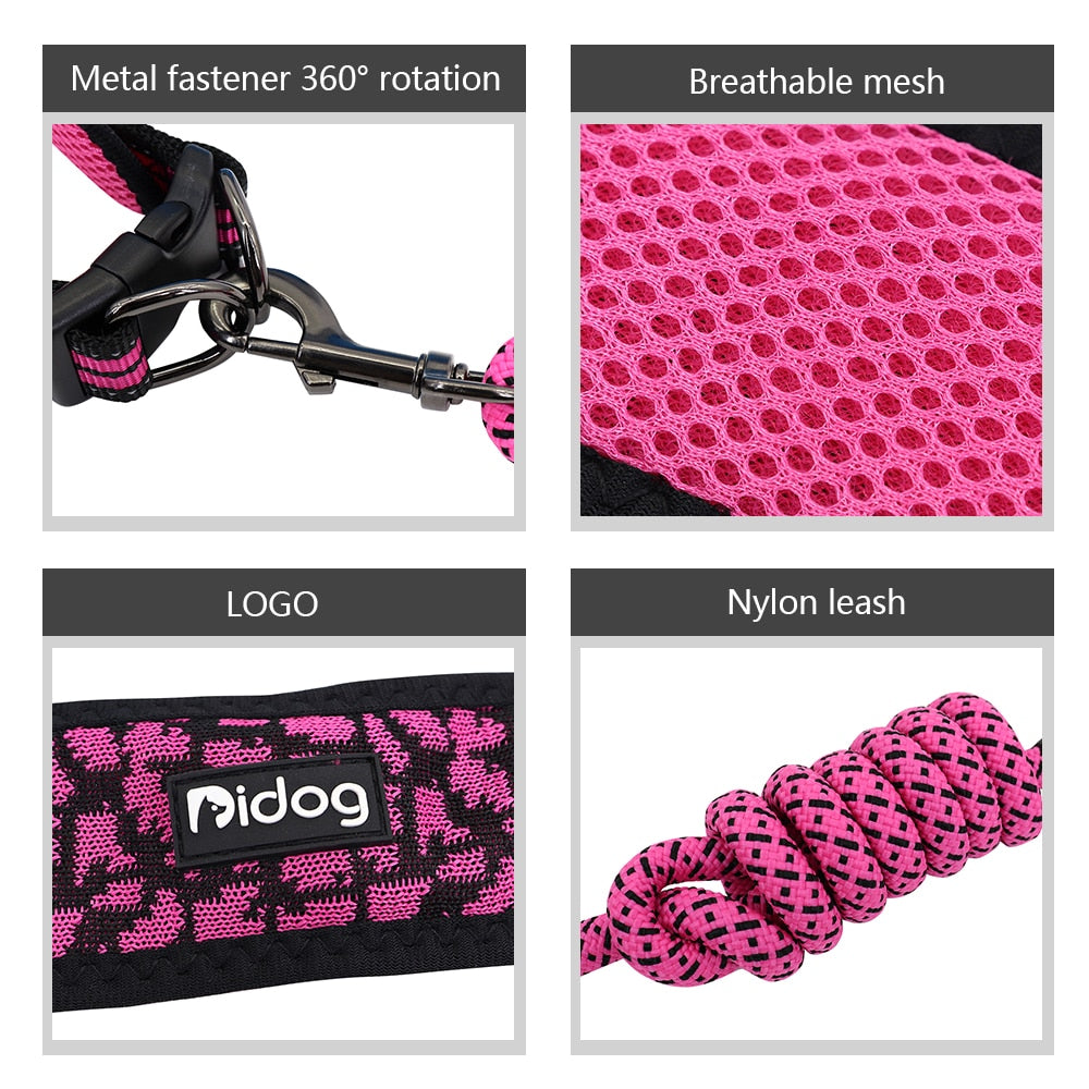 Nylon Mesh Dog Collar With Rope lead(For M/L/XL dogs)
