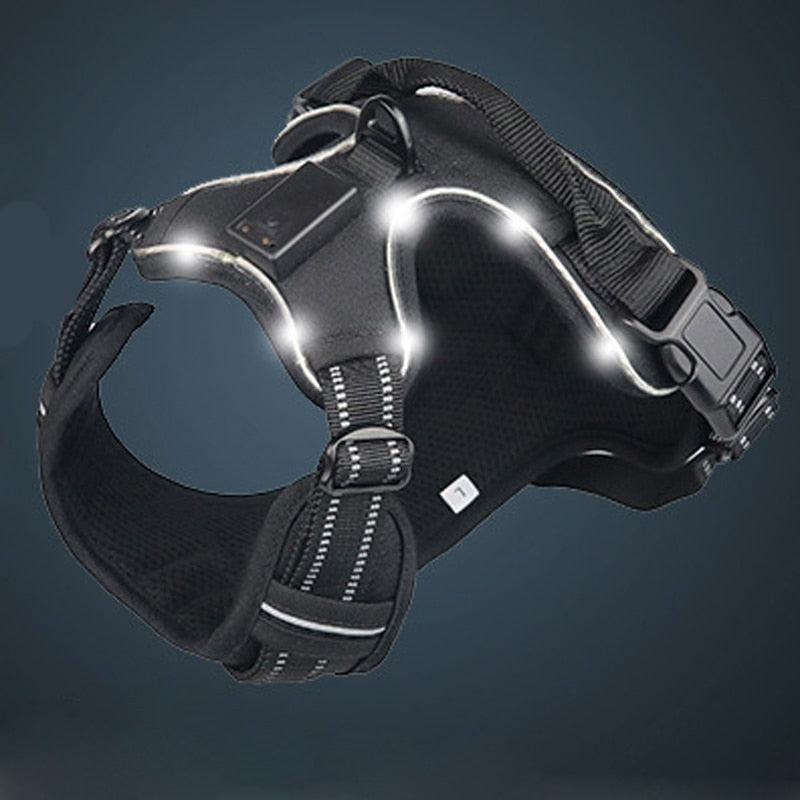 Dogs LED Harness with Flashing Light for Safety