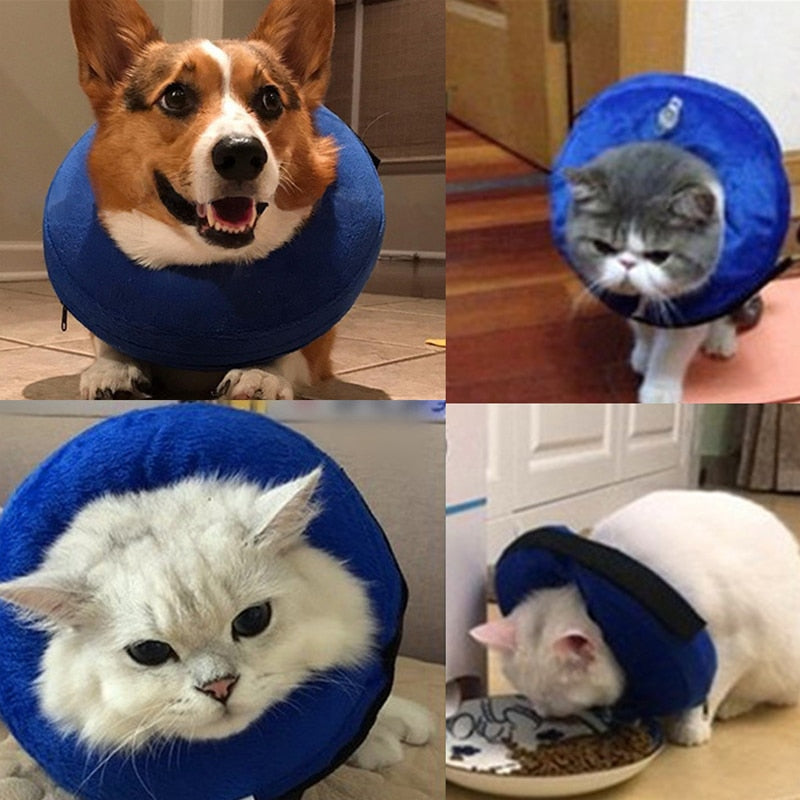 Protective Inflatable Anti-Bite Collar for Fur Babies in Recovery