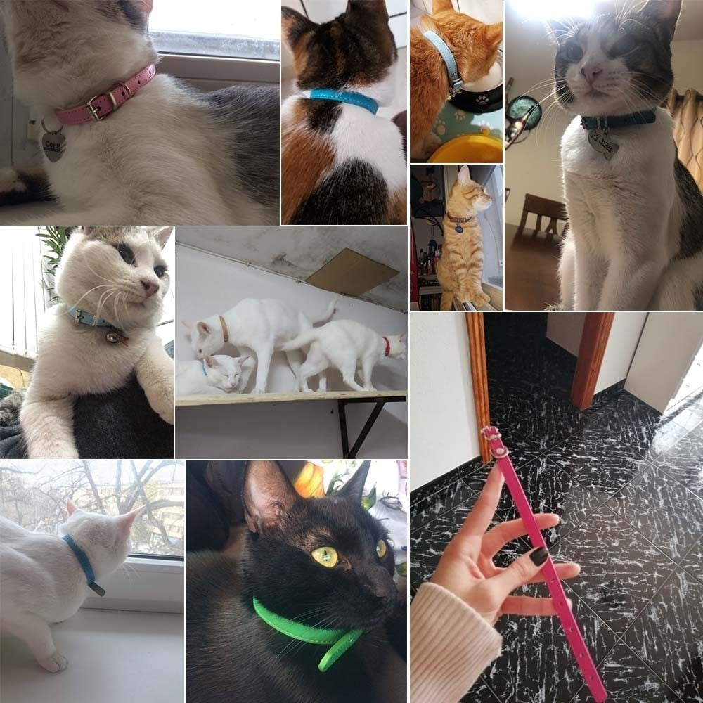 Colorful Leather Cat Collar Name Personalized