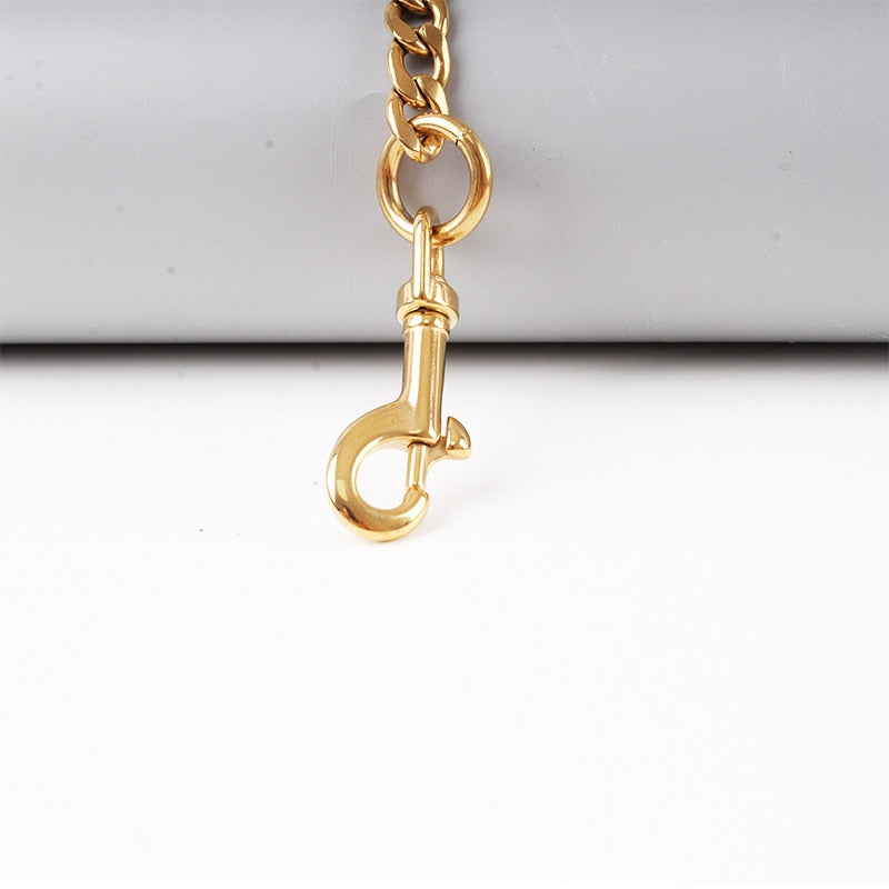 Gold Chain Dog Lead Stainless Steel