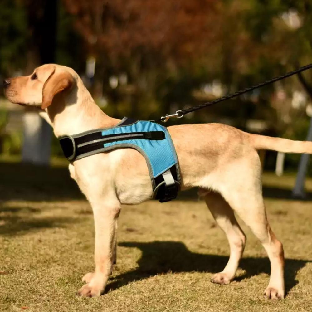 LED Luminous Dog Harness Light Up Dog Chest Strap Pet Safety Reflective