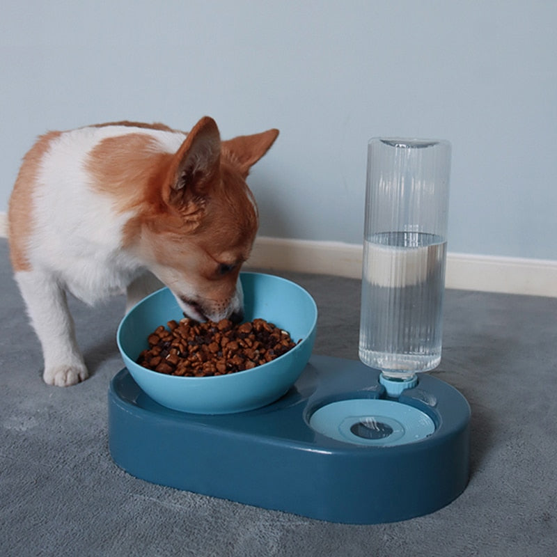 Double Cat/Dog Bowl With Raised Stand