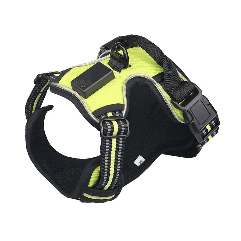 Dogs LED Harness with Flashing Light for Safety
