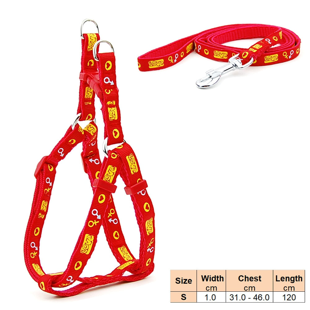 Dog Harness and Lead Adjustable Collar