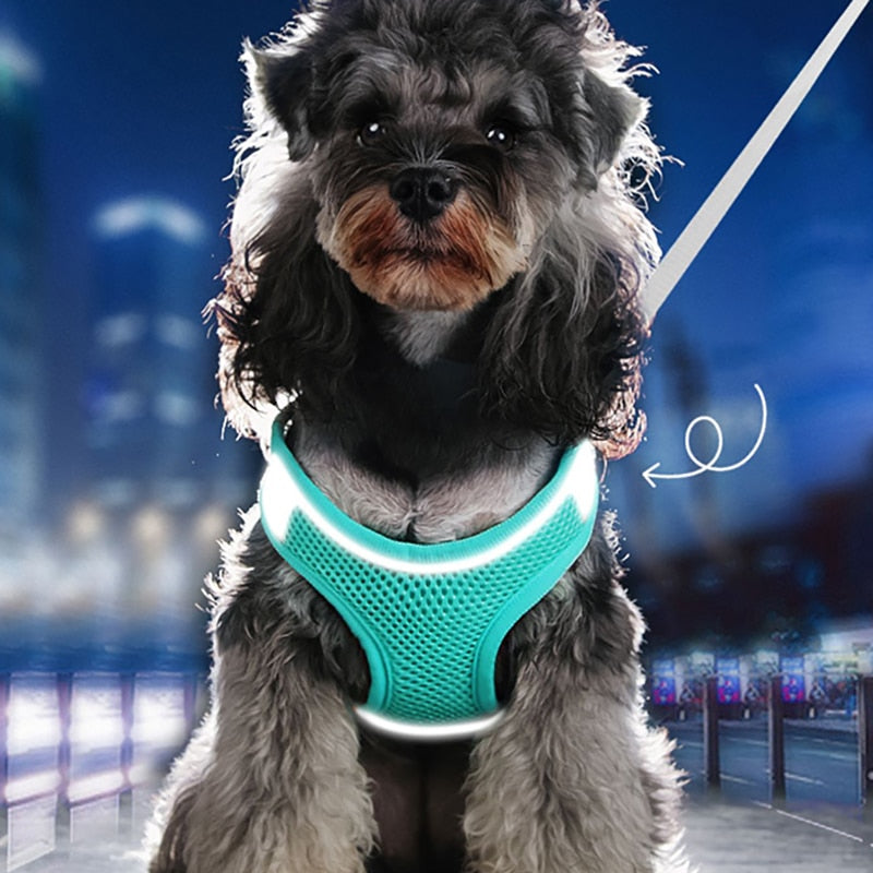 Dog Harness & Lead Reflective Breathable Adjustable for Small Medium Dogs
