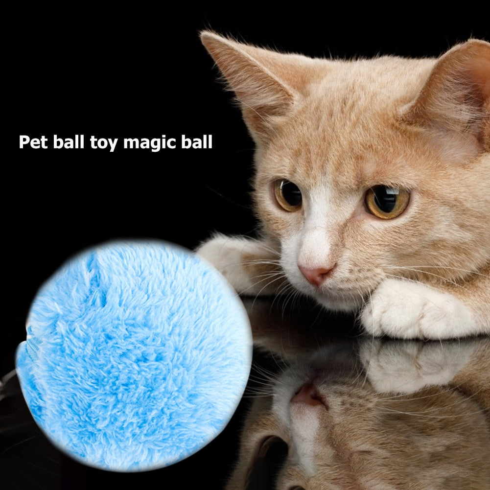 Magic Roller Ball Activation Automatic Ball Dog Cat Interactive Funny Chew