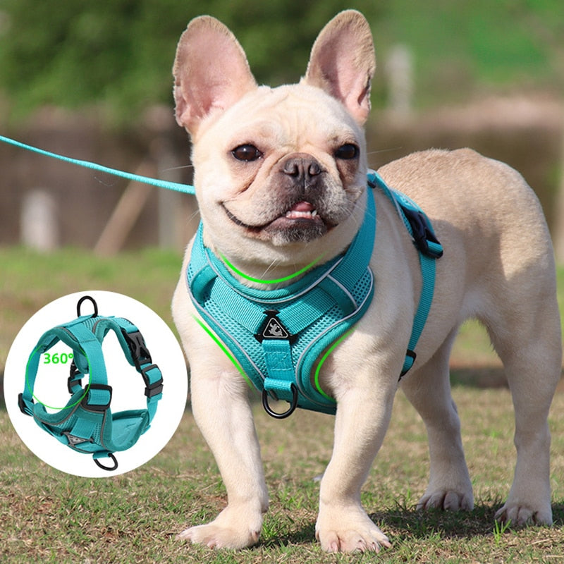 No Pull Dog Harness and Lead Set Adjustable Vest For Small Dogs with Reflective Mesh