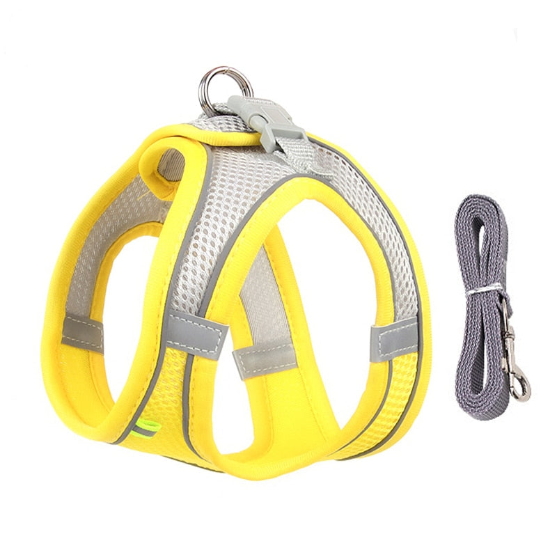 Dog Harness & Lead Set for Small Dogs Fully Adjustable