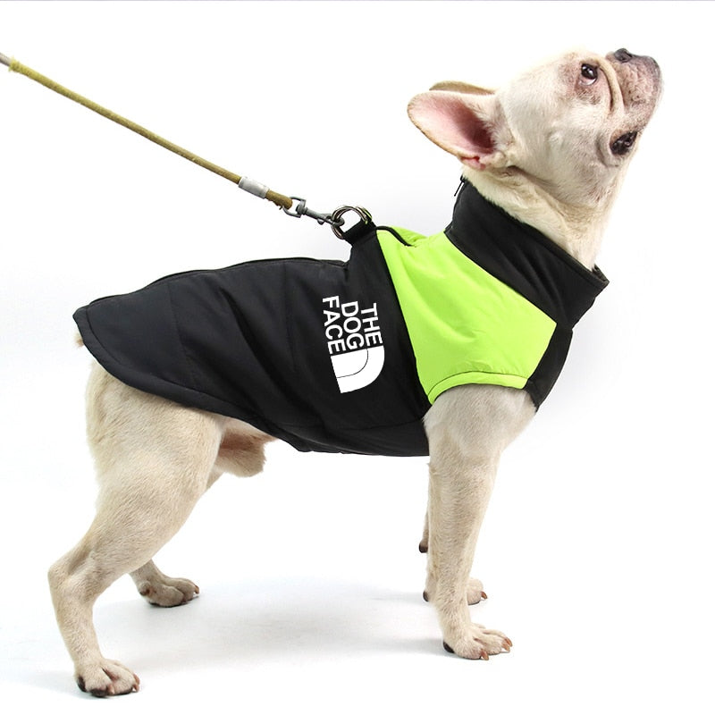 The Dog Face Waterproof Warm Dog Padded Zipper Jacket