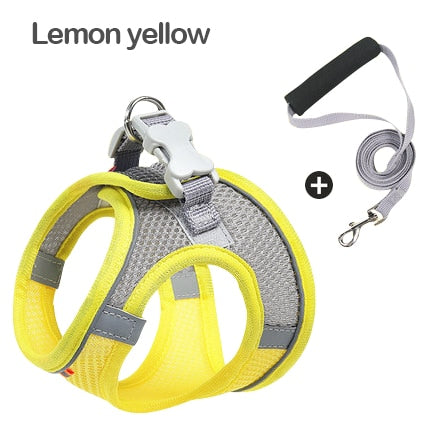 Dog Harness & Lead Reflective Breathable Adjustable for Small Medium Dogs
