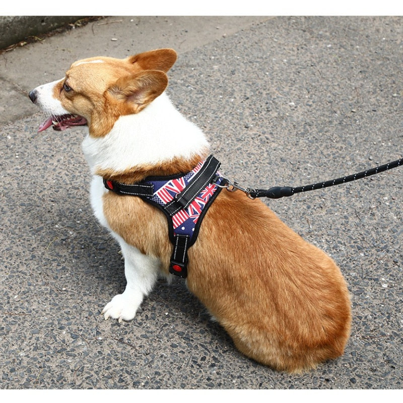 Nylon Heavy Duty Dog Harness Padded