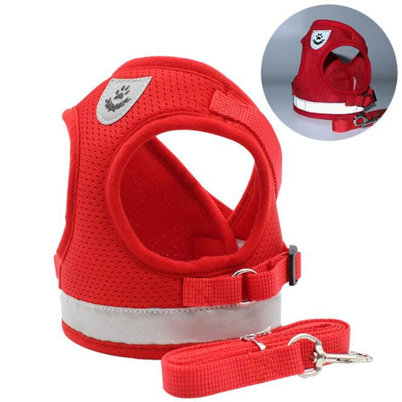 Adjustable Mesh Comfort Dog Harness With Lead(Available in multiple sizes and colours)