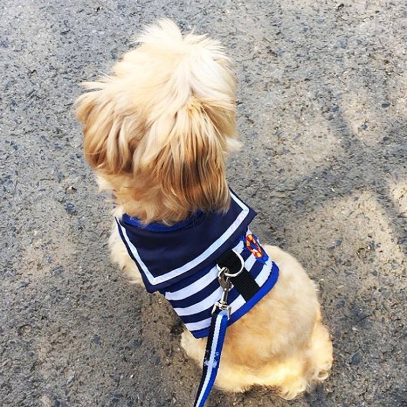 Soft Breathable Navy Style Harness & Lead Set for Small Medium Dogs & Puppies