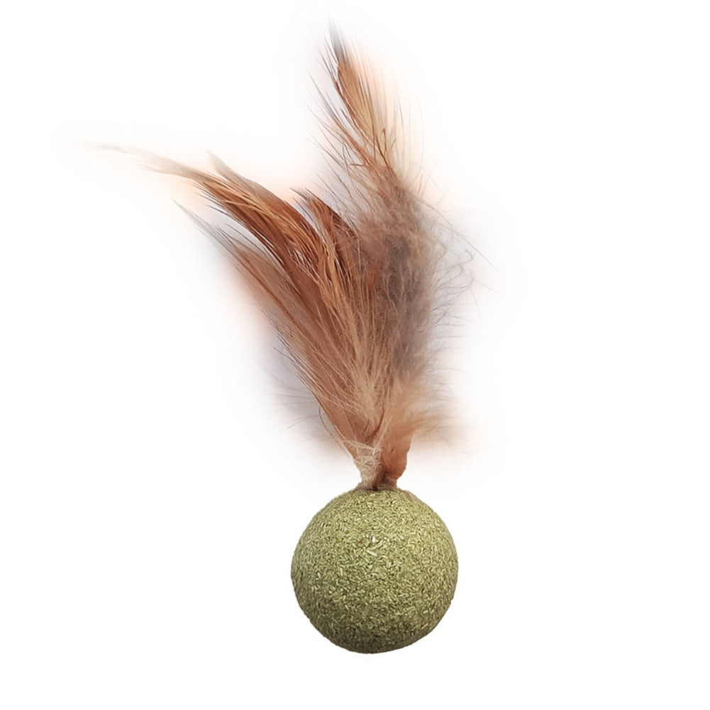 100% All Natural Catnip Wall Ball to Clean Mouths & Promote Digestion
