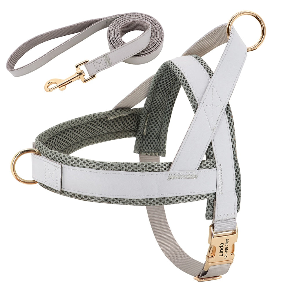 Customized Leather Dog Collar, Harness & Lead Set Personalised For Small Medium Large Dogs