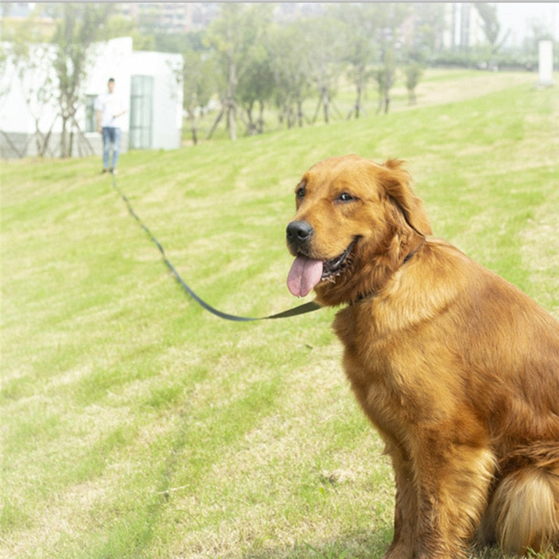 Long Dog Lead with or without Comfortable Sponge Handle